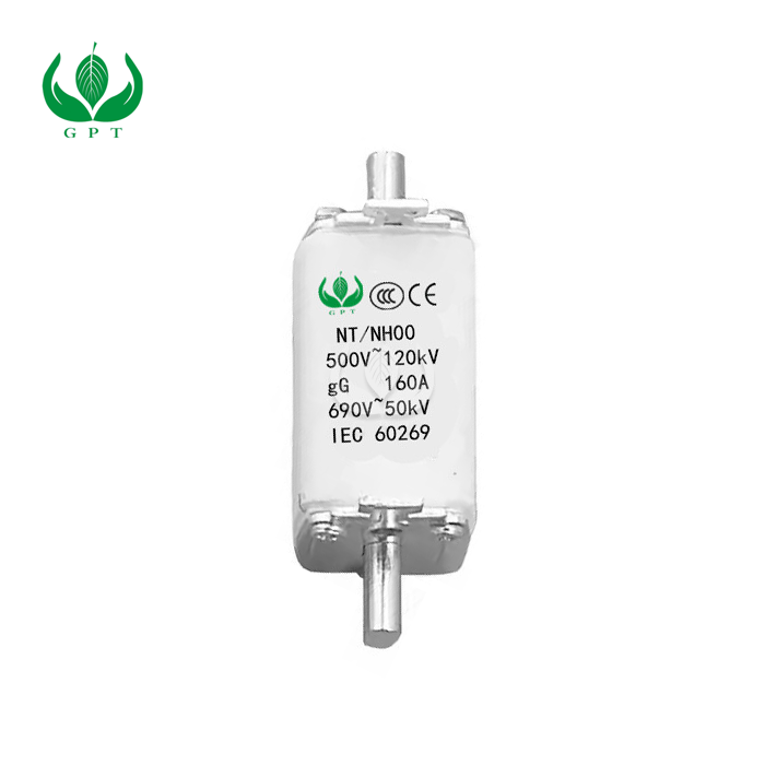 NH Fuses 100A